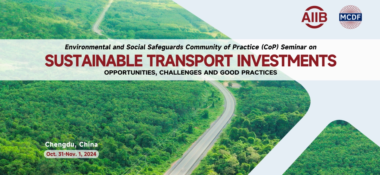 Sustainable Transport Investments: Opportunities, Challenges, and Good Practices