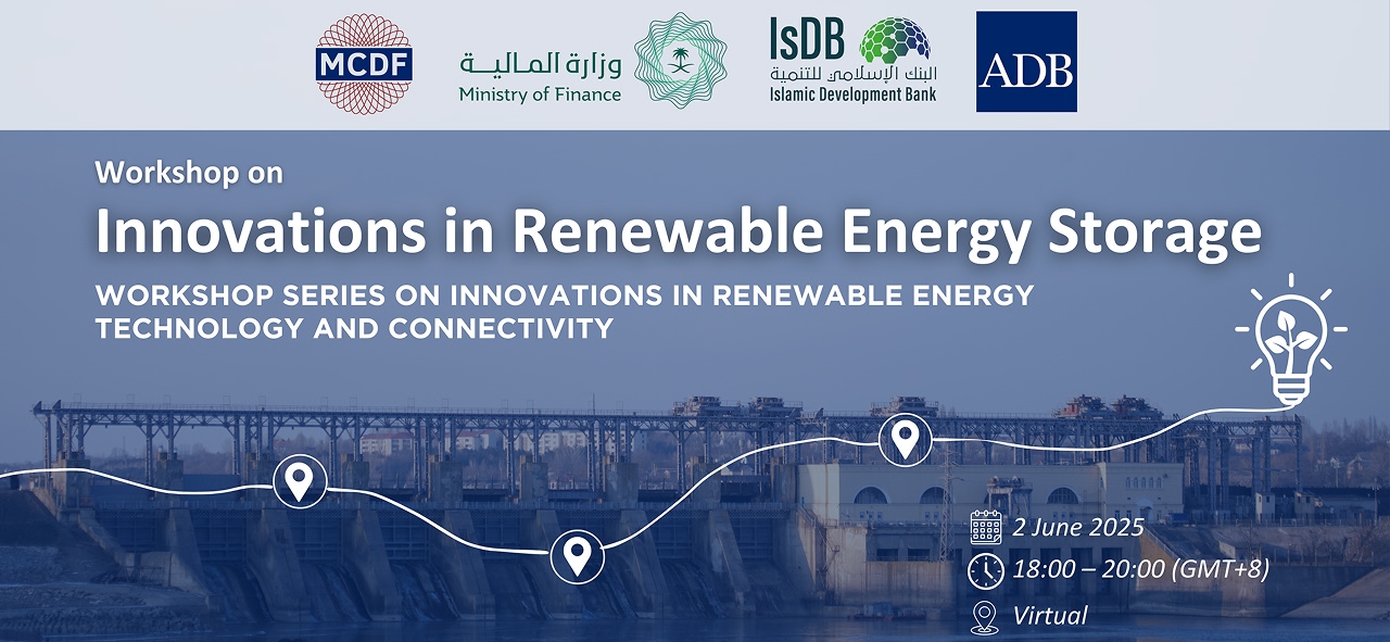 Workshop on Innovations in Renewable Energy Storage