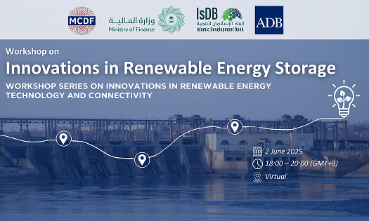 Workshop on Innovations in Renewable Energy Storage