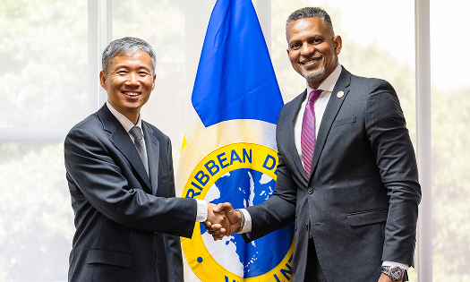 Caribbean Development Bank President and MCDF CEO Discuss Partnership Next Steps
